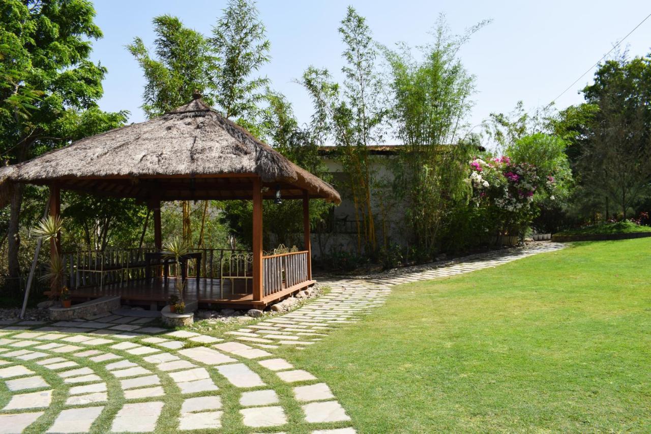 Kumbhalgarh Forest Retreat Luaran gambar